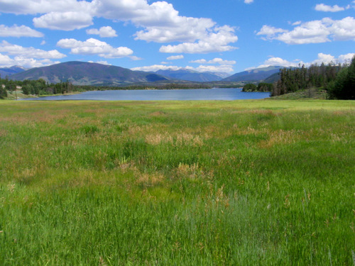 The wetland source of Lake Dillon.